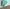 Teal Whale, Dark Teal or Light Teal