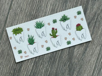 Succulent Dental Sticker, Vinyl Tooth Sticker, Humorous Dentist Sticker, Car Decal Sticker, Laptop Sticker, Unique Dentist Gift