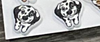 Whiskers and Woofs Dog Teeth Earrings