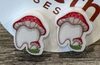Mushroom Tooth Stud Earrings