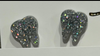 Silver Tooth Dental Earrings