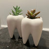 Dental Vase