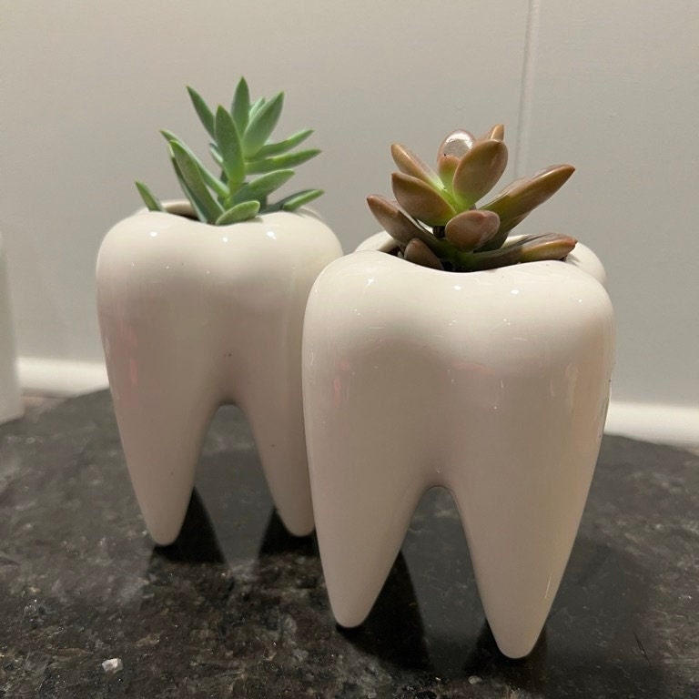 Ceramic Tooth Vase: Dental Planter, Dentist Gift