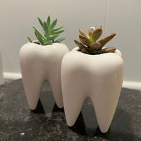 Ceramic Tooth Vase: Dental Planter, Dentist Gift