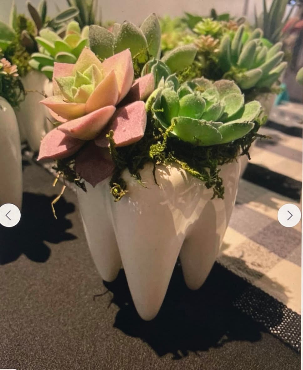Dental Vase