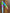 Tooth Pens