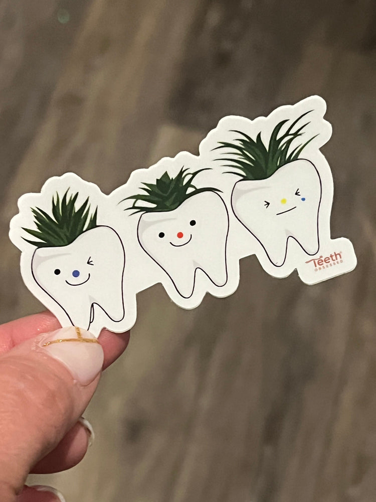Dental Sticker, Succulent Planter Floss Stickers, Hygiene Stickers, Tooth Stickers, Dental Assistants, Dental Gifts, Dentist Stickers