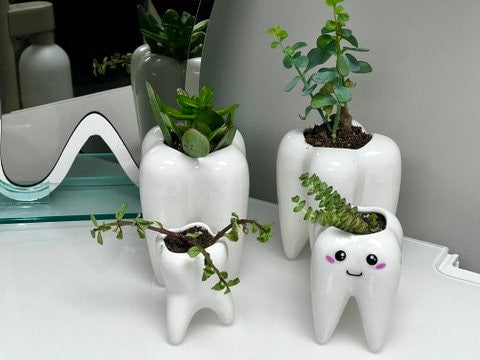 Tooth Vase Dental Desk Decor Dental Vase Tooth Planter Molar Tooth Succulent Planter Tooth Decor Dental Office Gift RDH Gift RDA Gift Dental