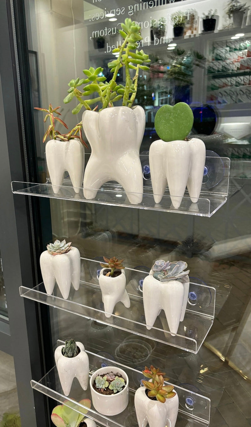 Smiling Dental Vase Tooth Vase Dental Desk Decor Tooth Planter Molar Tooth Succulent Planter Tooth Decor RDH Gift RDA Gift Dental