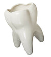 Molar Vase
