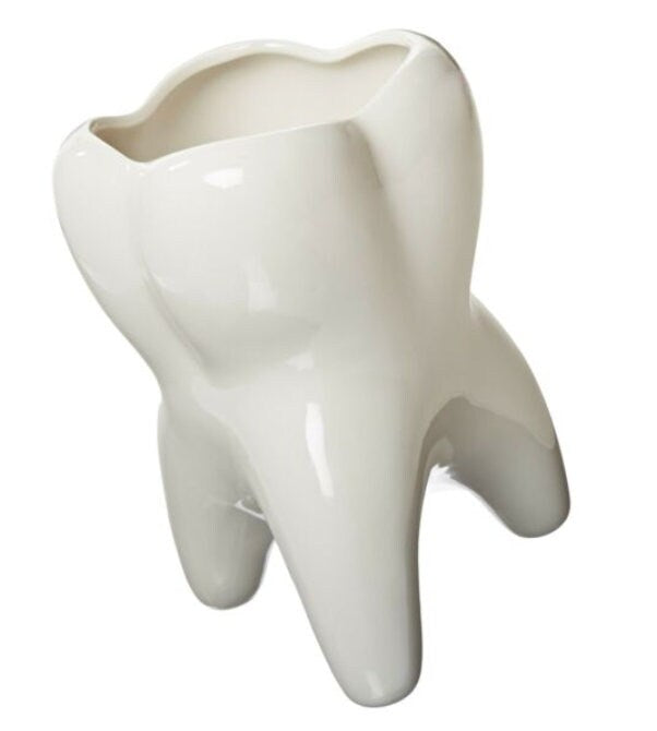 Molar Vase