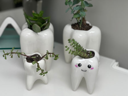 Dental Vase, Tooth Vase, Dental Planter, Tooth Planter, Dentist Gift, Dental Plant, Tooth Plant, Dental Succulent