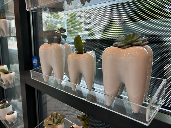 Dental Vase