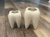 Dental Vase, Tooth Vase, Dental Planter, Tooth Planter, Dentist Gift, Dental Plant, Tooth Plant, Dental Succulent