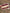 Denture Sticker