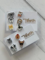 Dental Earrings, Molar Earrings, Dental Earrings, Tooth Earrings, Glass Tooth Earrings, Glitter Tooth Earring, Teeth Earrings