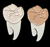 Dental Pin, Tooth Pin, Dental Hygiene Gift, Teeth Pin, Dental School Pin, Dental Swag, RDH Buttons ,Dental Student, Dental Assistant Pin