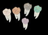 Dental Pin, Tooth Pin, Dental Hygiene Gift, Teeth Pin, Dental School Pin, Dental Swag, RDH Buttons ,Dental Student, Dental Assistant Pin