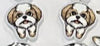 Dental Earrings