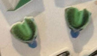 Dental Earrings