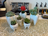 Ceramic Tooth Vase Planter: Dentist Gift, Dental Decor