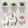 Smiling tooth-shaped ceramic succulent planter by Teeth Obsessed, perfect for dental decor and small plants.