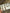 Dental Earrings