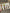 Kawaii Dental Earrings