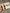 Orange Dental Earrings