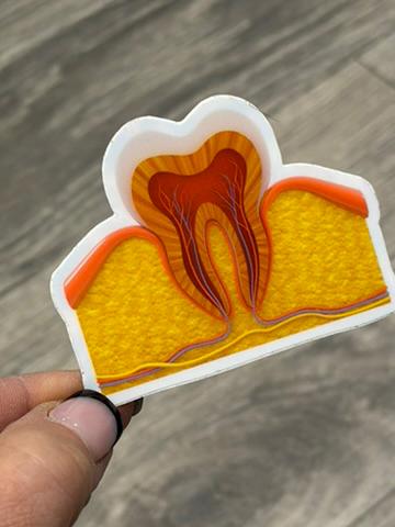 Dental Stickers | Dentist Office Decor | Dental Assistant Gift | Hygienist Sticker | Tooth Stickers | Dental Team Swag
