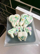 Hand-Poured Soy Wax Tooth Melts, Dental Office Decor, Dentist Gift