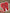 Red Rose Tooth Sticker