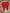 Red Rose Tooth Sticker
