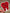 Red Rose Tooth Sticker