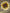 Sunflower Dental Stickers | Teeth Stickers, Dental Sticker, Hygienist Gift, Dental Assistant, Flower Tooth Sticker