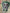 Dental Halloween Sticker, Beetletooth Sticker, Tooth Sticker, Dental Nightmare, Dental Hygienist Sticker, Dentist Gift, Halloween Dental