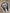 Spooky Halloween Dental Sticker, Teeth Obsessed Horror Movie Gift