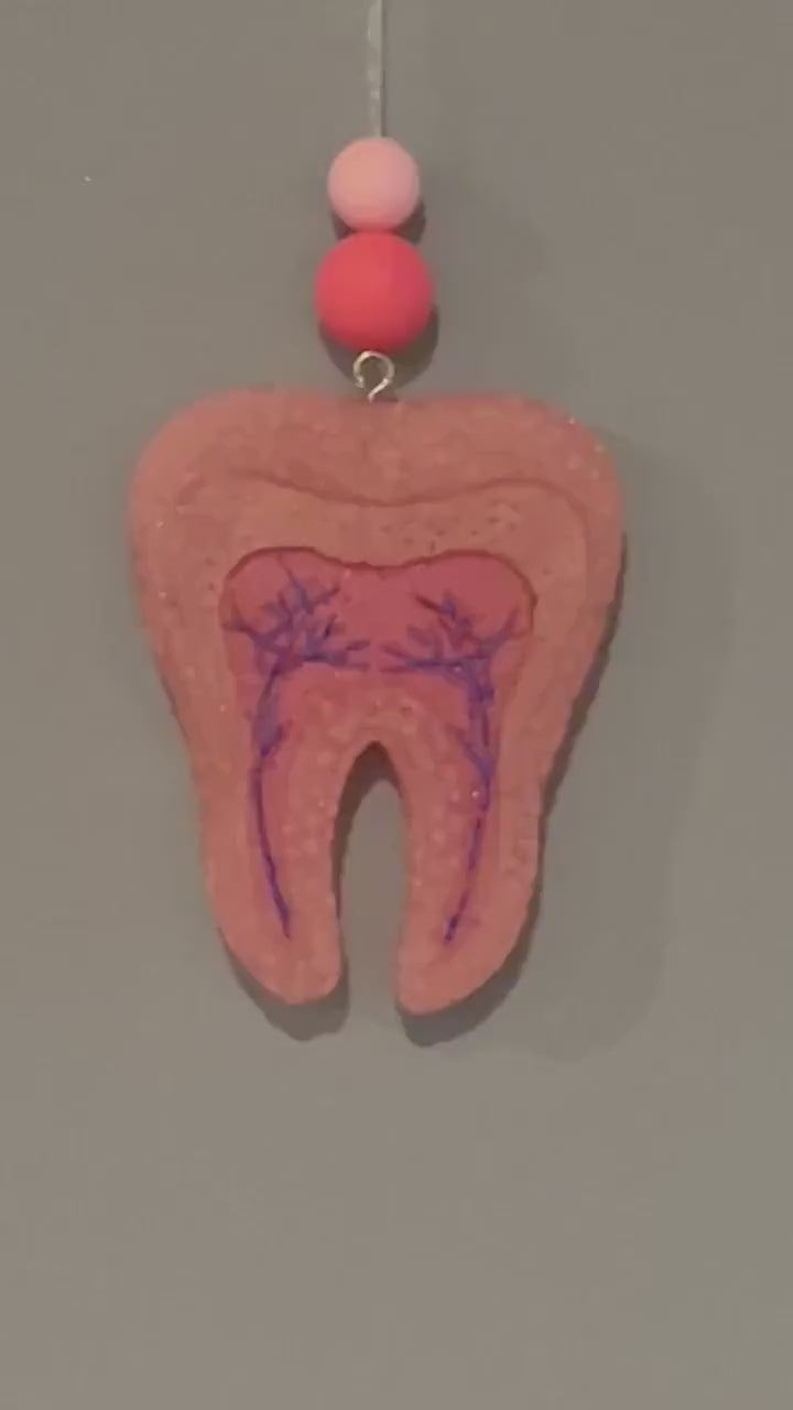 Anatomical Tooth Ornament