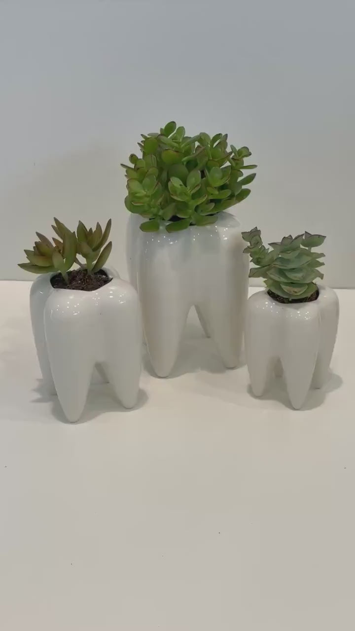 Ceramic Tooth Vase