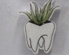 Dental earrings by Teeth Obsessed featuring succulent-shaped tooth designs, showcasing a playful and unique jewelry style.