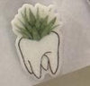 Pair of Dental Earrings featuring succulent tooth designs by Teeth Obsessed, showcasing detailed dental jewelry with a fresh, modern look.