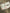 Teeth Obsessed dental earrings featuring small succulent-shaped tooth charms on silver hooks, stylish and unique jewelry.
