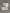 Whiskers and Woofs Dog Teeth Earrings by Teeth Obsessed, dental earrings featuring realistic dog tooth designs on silver hooks.