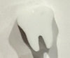 Floss Molar Tooth Earrings