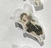 Teeth Obsessed dental earrings featuring green tooth fairy design, perfect for dental hygienists or dental-themed gift.