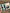 Green Dental Earrings, Dental Molar, Teeth Earrings, Dental Gift Graduation, Tooth Earrings, Dental Hygiene Gift, Dental Assistant