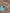 Mint Tooth Unicorn dental keychain from Teeth Obsessed featuring a cute unicorn design on a mint green background.