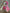 Dental Assistant Appreciation Collection | Tooth Keychain & Appreciation Sticker | DA Appreciation Week Gift | Teeth Obsessed