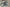 Dental Team Keychain
