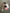 White leopard print dental keychain by Teeth Obsessed featuring a tooth-shaped design and keyring attachment.
